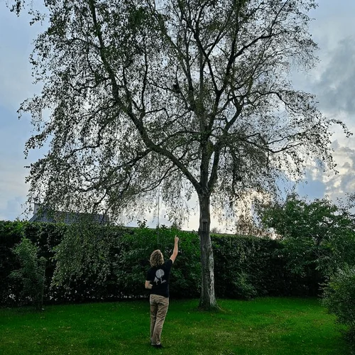 Arborist utfører Inspeksjon for borettslag i Oslo